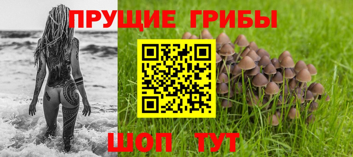 Каспийск  наркотики  Вход с VPN  Псилоцибиновые грибы ЛСД 